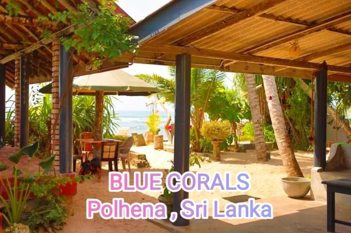 Blue Corals Beach Bungalow Matara Esterno foto