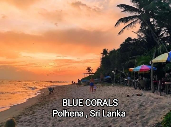 Blue Corals Beach Bungalow Matara Esterno foto