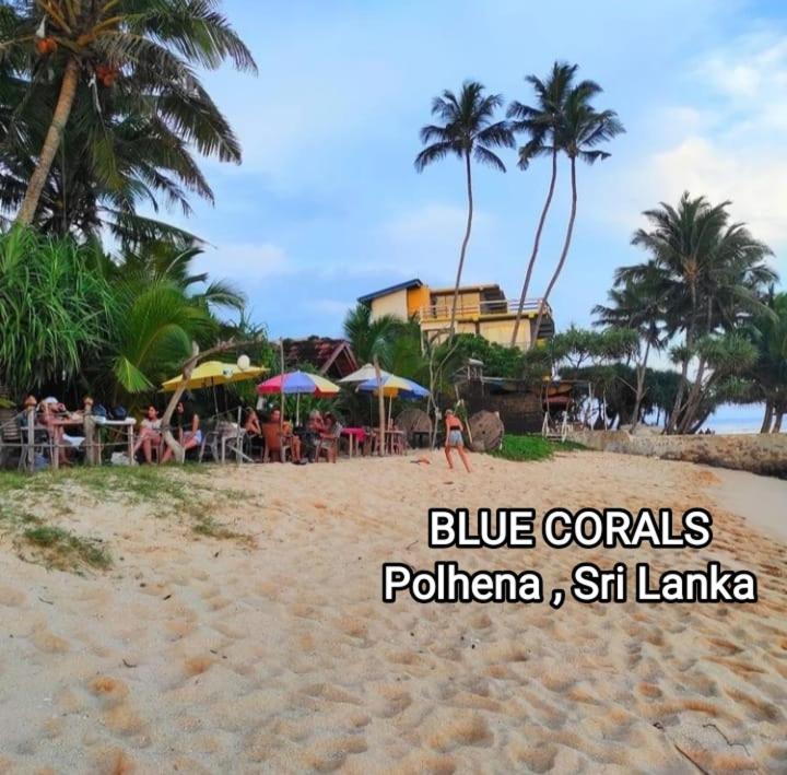 Blue Corals Beach Bungalow Matara Esterno foto