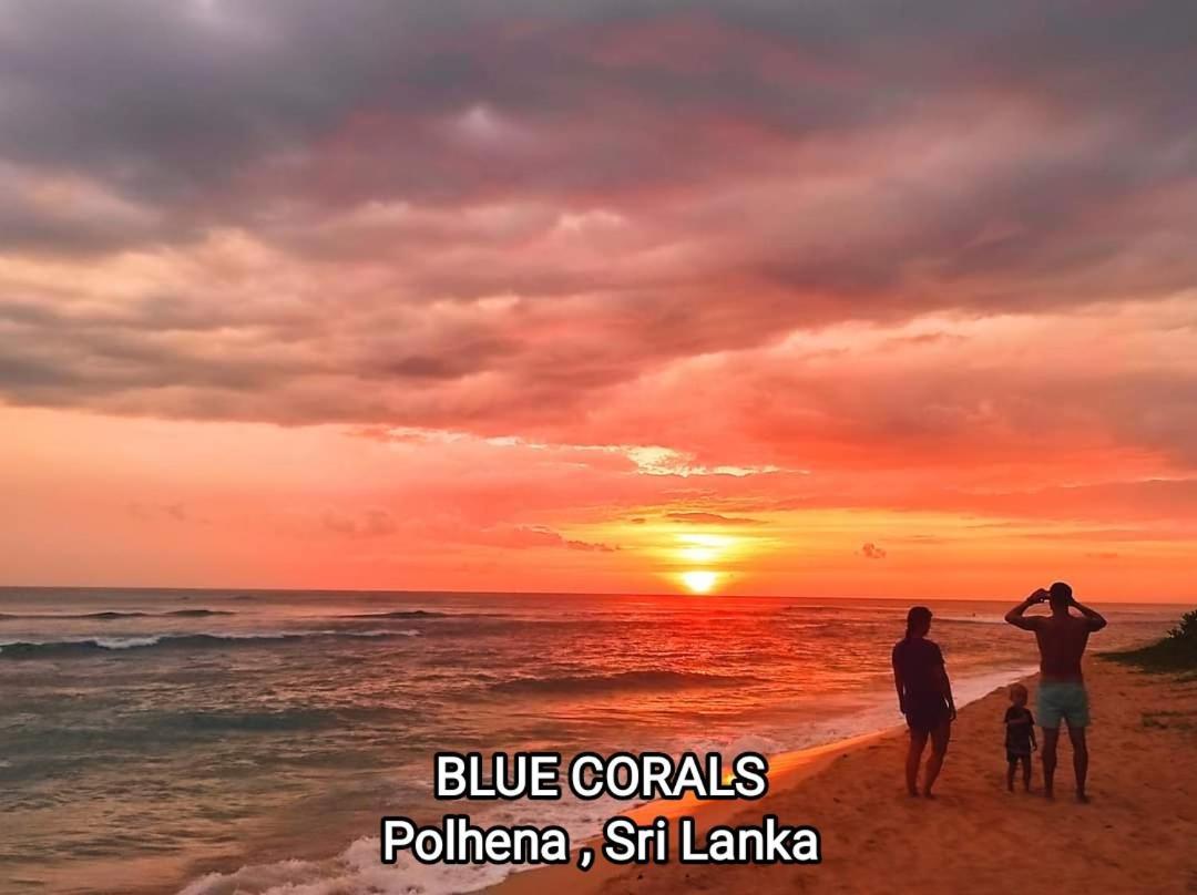 Blue Corals Beach Bungalow Matara Esterno foto