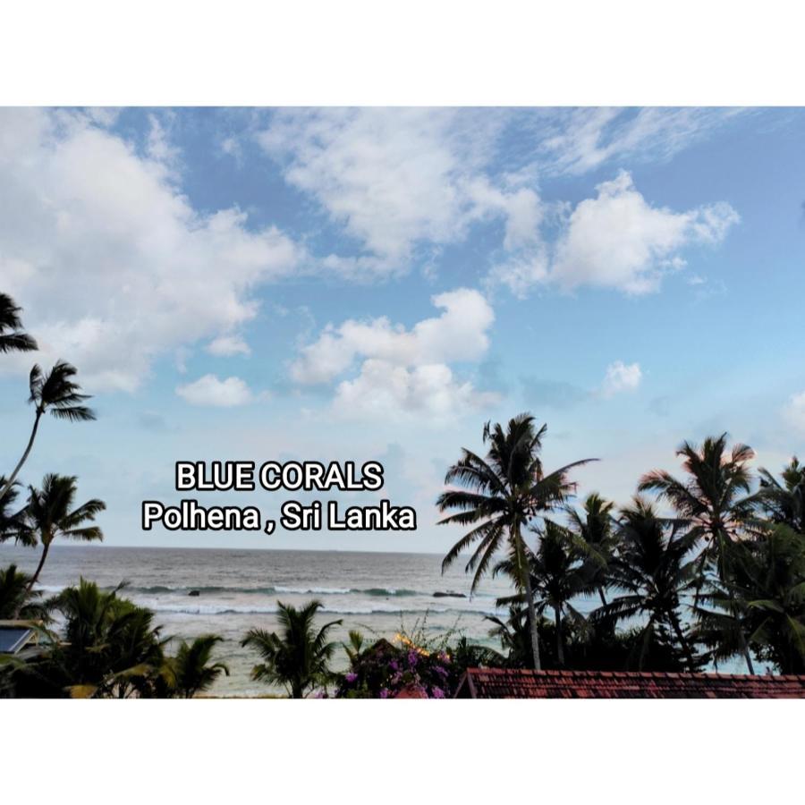 Blue Corals Beach Bungalow Matara Esterno foto