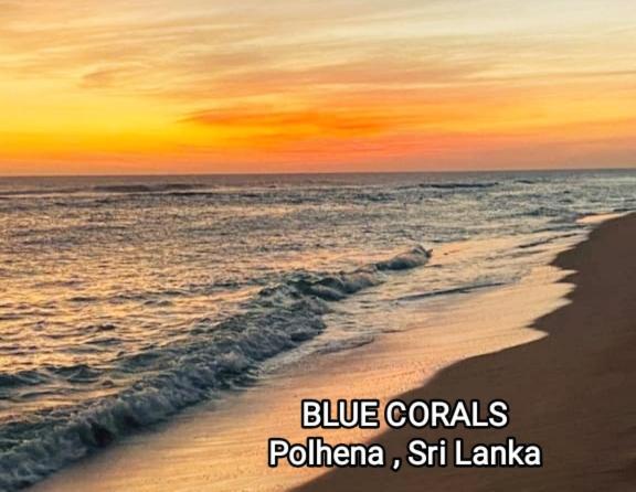 Blue Corals Beach Bungalow Matara Esterno foto