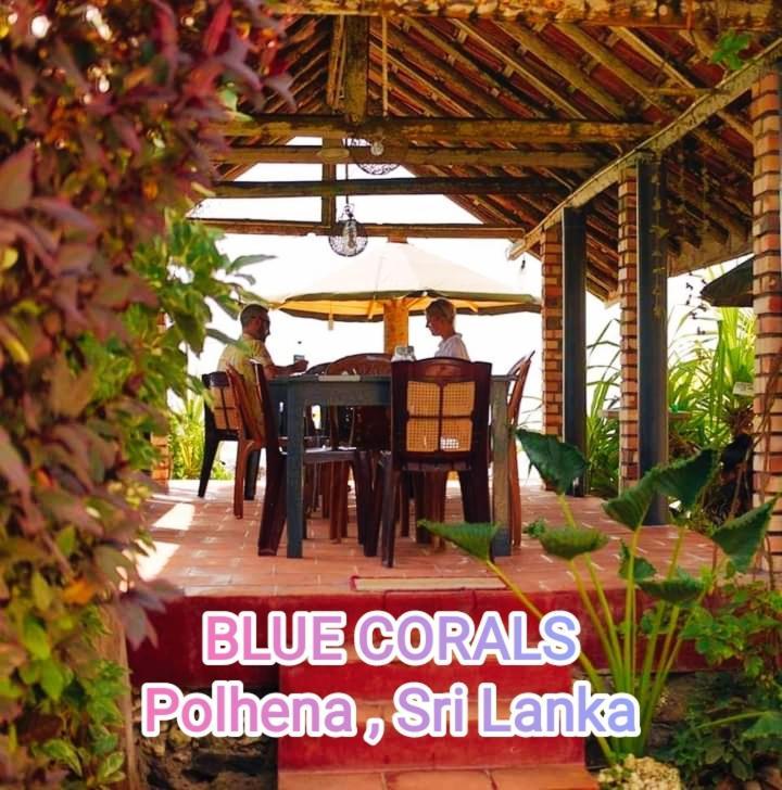 Blue Corals Beach Bungalow Matara Esterno foto