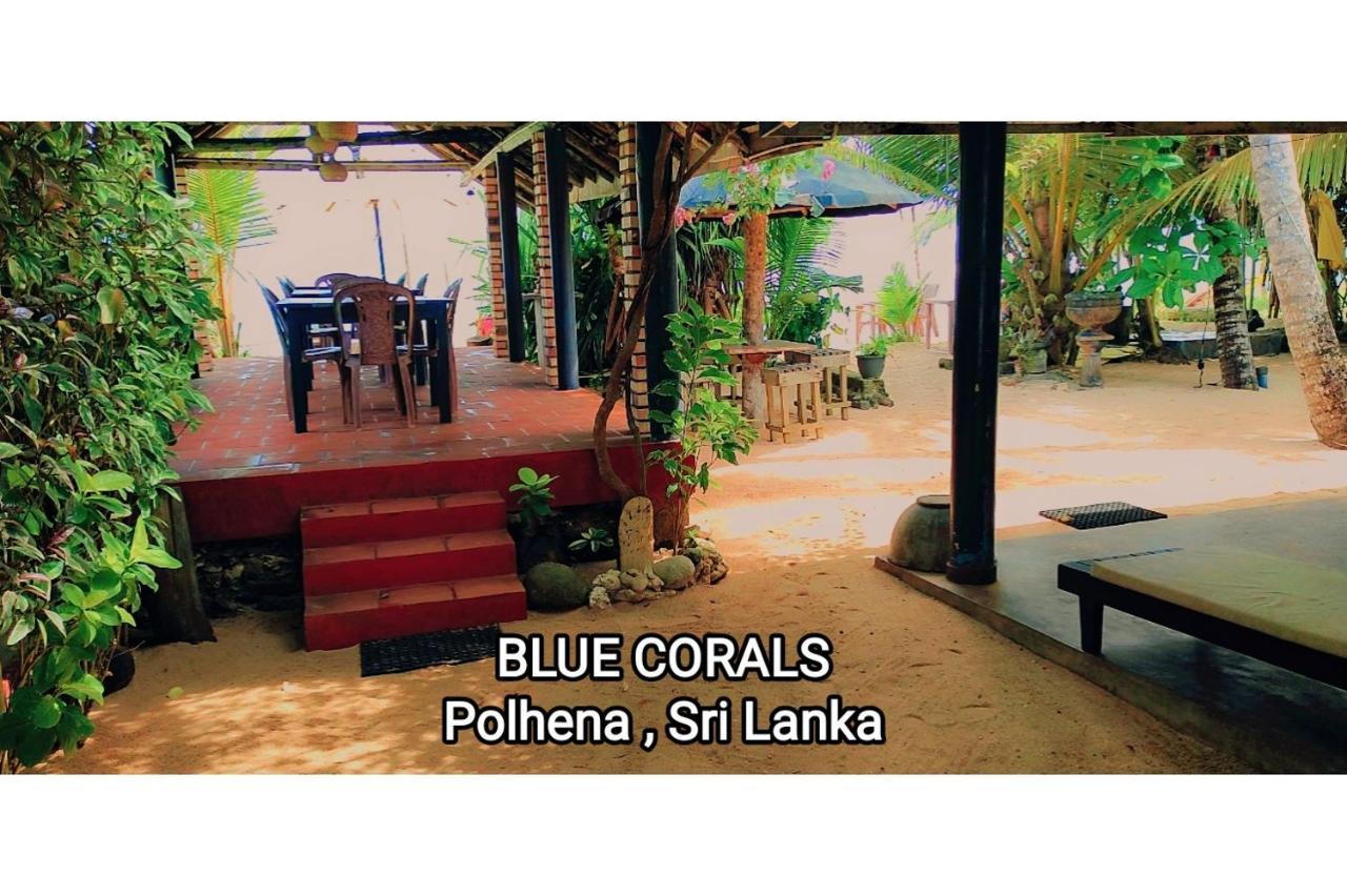 Blue Corals Beach Bungalow Matara Esterno foto