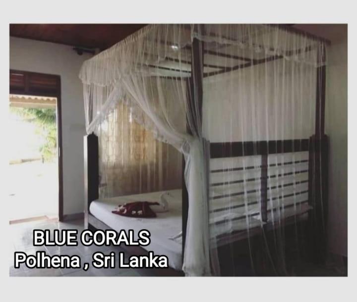 Blue Corals Beach Bungalow Matara Esterno foto